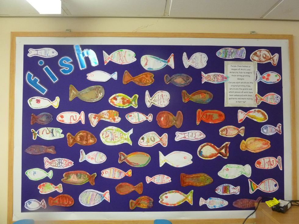  Fish Display